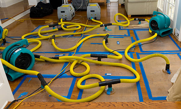 Professional Flood Damage Restoration technician working in Rollinsville, CO